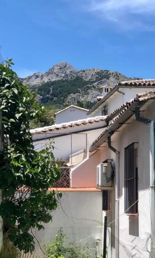 Apartamento La Parra Grazalema Εξωτερικό φωτογραφία
