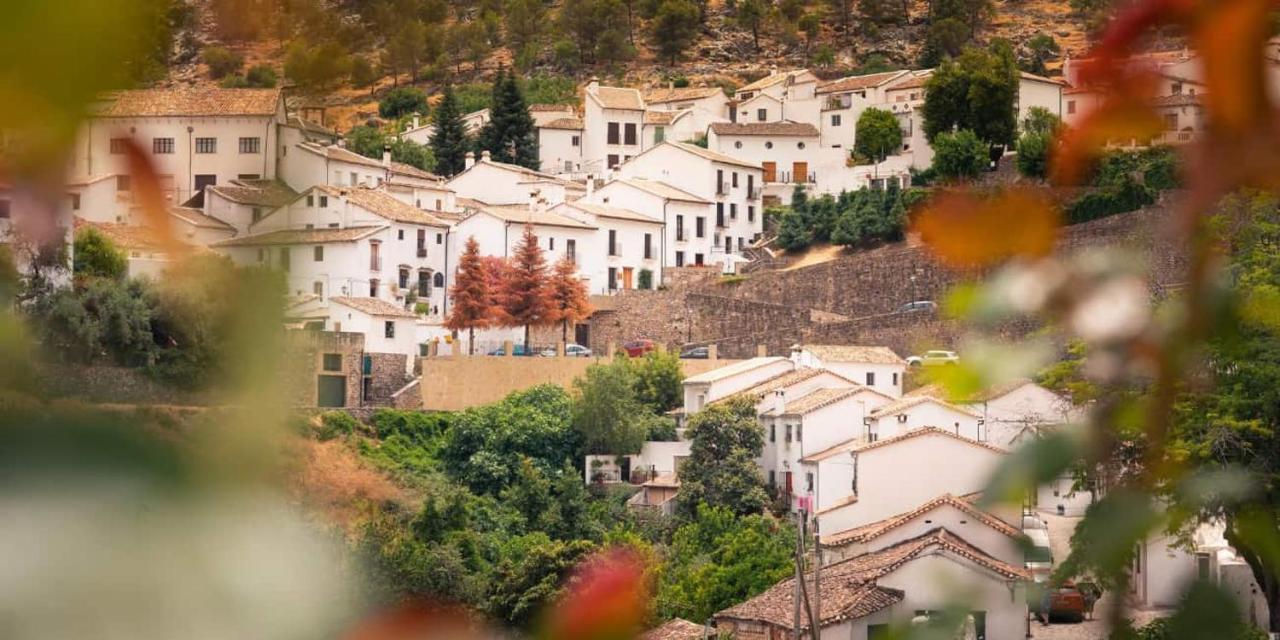 Apartamento La Parra Grazalema Εξωτερικό φωτογραφία